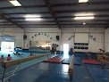Aerials Gymnastics