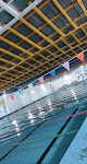 Alberca Olímpica Municipal Y Gimnasio