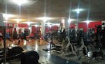 Alo Gym
