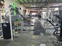 Animal Gym