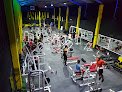 Animal Gym / Animal Crossfit