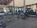 Anytime Fitness Zacatecas