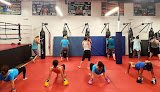 Apex Mixed Martial Arts