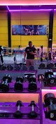 Apolo Gym Premium