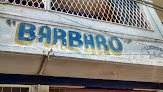 Barbaro