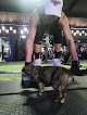 Be Fit Gym