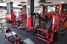 Bull Gym