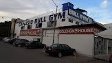 Bull Gym