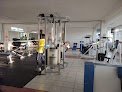 Bull Gym Sports Center