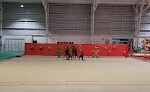 Centro De Gimnasia Rítmica Sucursal Inpode