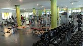 Club Deportivo El Tigre Nayarit