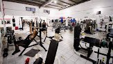 Coloso's Gym