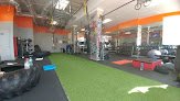 Cure Fitness
