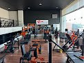Dragon Gym