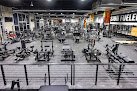 Elev8tion Fitness