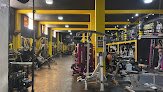 Evolution Fitness