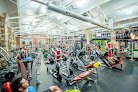 Evolution Fitness