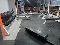 Evolution Gym