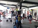Evolution Gym