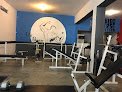 Evolution Gym