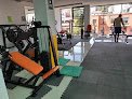 Evolution Gym