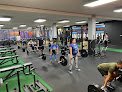 Fit Results Logan Square