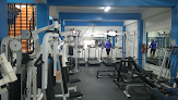 Fitness & Training Gym