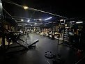 Force Fitness