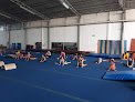 Gimnasia Ares S.c.