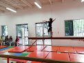 Gimnasia Fuerza Gymnastics Aca