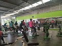 Gimnasio