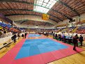 Gimnasio; Auditorio De Usos Múltiples