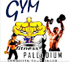 Gimnasio Fitness Palladium
