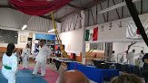 Gimnasio Los Pinos