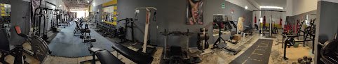 Gimnasio Wolfgym
