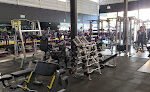 Gold Fitness Gym
