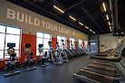 Gold's Gym