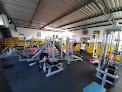 Gorilla Gym