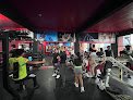 Gorilla Gym Fit