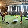 Gravity Haus Denver Lohi Clubhaus & Dryland Fitness