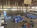 Guerreros Box