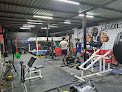 Gym Grizzly