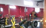 Gym Mr. Scorpion