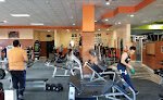 Hercules Gym Y Fitness