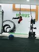 Horus Gimnasio
