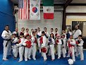 International Academy Of Taekwondo