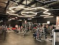 Iron Gym Plaza Milenio