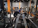 Ironmonkeys