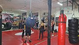 Kick Boxer Mma Academy