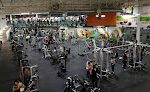 Life Gym